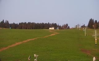 Zieleniec PTZ #2 - 02-05-2025 03:02