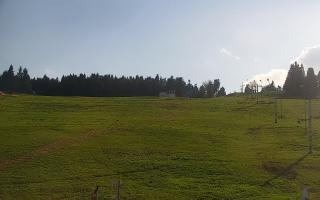 Zieleniec PTZ #2 - 02-05-2025 15:07