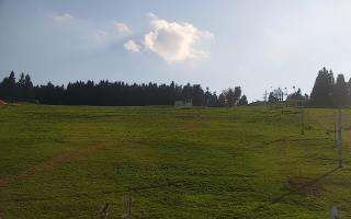 Zieleniec PTZ #2 - 02-05-2025 15:22