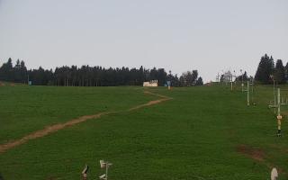 Zieleniec PTZ #2 - 03-05-2025 03:19