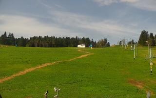 Zieleniec PTZ #2 - 03-05-2025 07:41