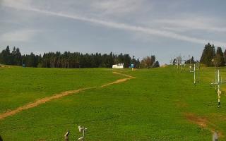 Zieleniec PTZ #2 - 03-05-2025 07:49