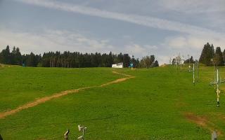 Zieleniec PTZ #2 - 03-05-2025 07:56