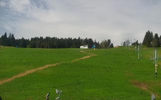Zieleniec PTZ #2 - 03-05-2025 08:04