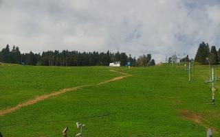 Zieleniec PTZ #2 - 03-05-2025 08:12