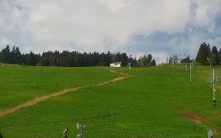 Zieleniec PTZ #2 - 03-05-2025 08:20
