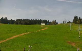 Zieleniec PTZ #2 - 03-05-2025 08:35