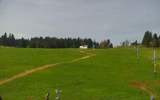 Zieleniec PTZ #2 - 03-05-2025 08:43