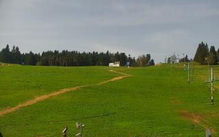 Zieleniec PTZ #2 - 03-05-2025 08:50