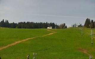 Zieleniec PTZ #2 - 03-05-2025 08:58