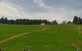 Zieleniec PTZ #2 - 03-05-2025 09:06