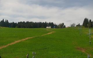 Zieleniec PTZ #2 - 03-05-2025 09:14