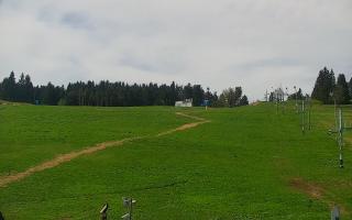 Zieleniec PTZ #2 - 03-05-2025 09:21