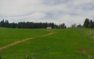 Zieleniec PTZ #2 - 03-05-2025 09:29