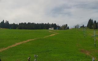 Zieleniec PTZ #2 - 03-05-2025 09:37