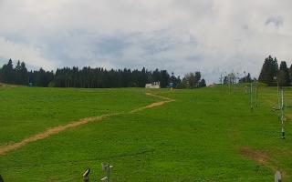 Zieleniec PTZ #2 - 03-05-2025 09:44