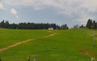Zieleniec PTZ #2 - 03-05-2025 09:52
