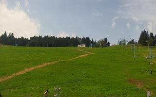 Zieleniec PTZ #2 - 03-05-2025 10:00