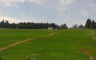 Zieleniec PTZ #2 - 03-05-2025 10:07