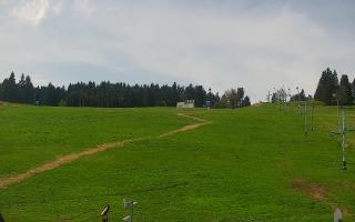Zieleniec PTZ #2 - 03-05-2025 10:15