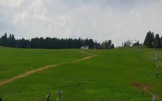 Zieleniec PTZ #2 - 03-05-2025 10:23
