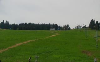 Zieleniec PTZ #2 - 03-05-2025 10:31