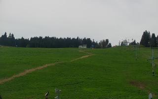 Zieleniec PTZ #2 - 03-05-2025 10:38