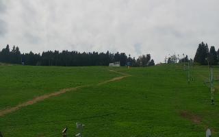Zieleniec PTZ #2 - 03-05-2025 10:46