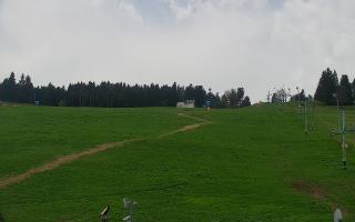 Zieleniec PTZ #2 - 03-05-2025 10:54