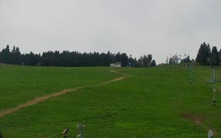 Zieleniec PTZ #2 - 03-05-2025 11:01