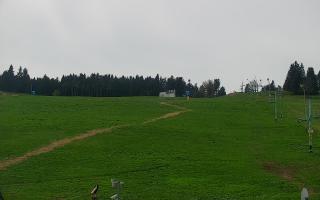 Zieleniec PTZ #2 - 03-05-2025 11:09