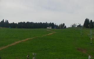 Zieleniec PTZ #2 - 03-05-2025 11:17