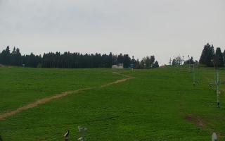 Zieleniec PTZ #2 - 03-05-2025 11:25