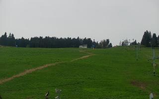 Zieleniec PTZ #2 - 03-05-2025 11:33