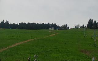 Zieleniec PTZ #2 - 03-05-2025 11:40