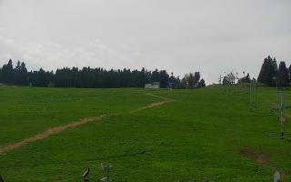 Zieleniec PTZ #2 - 03-05-2025 11:48