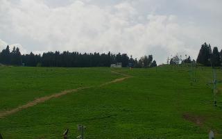 Zieleniec PTZ #2 - 03-05-2025 11:56