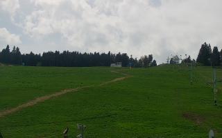 Zieleniec PTZ #2 - 03-05-2025 12:03