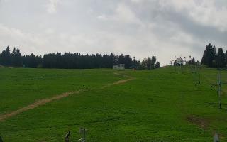 Zieleniec PTZ #2 - 03-05-2025 12:11