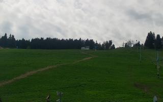 Zieleniec PTZ #2 - 03-05-2025 12:19