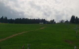Zieleniec PTZ #2 - 03-05-2025 12:26