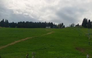Zieleniec PTZ #2 - 03-05-2025 12:34