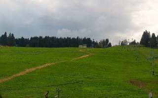 Zieleniec PTZ #2 - 03-05-2025 12:42