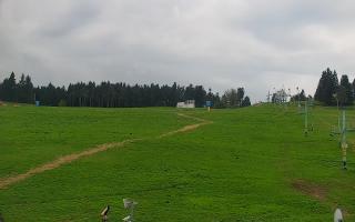 Zieleniec PTZ #2 - 03-05-2025 12:50