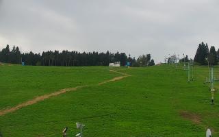 Zieleniec PTZ #2 - 03-05-2025 12:57