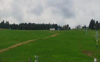 Zieleniec PTZ #2 - 03-05-2025 13:05
