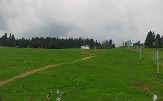 Zieleniec PTZ #2 - 03-05-2025 13:13