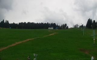 Zieleniec PTZ #2 - 03-05-2025 13:28