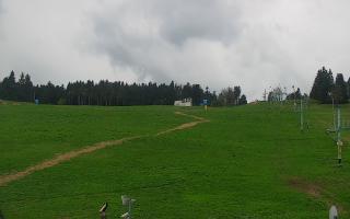 Zieleniec PTZ #2 - 03-05-2025 13:36