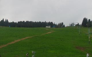 Zieleniec PTZ #2 - 03-05-2025 13:51